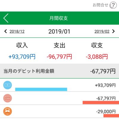 収支グラフ　デビットカード